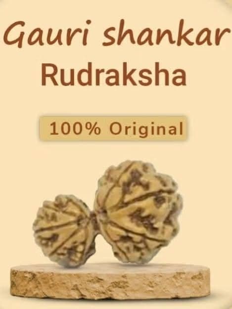 Gouri Shangkar Rudrakhs
