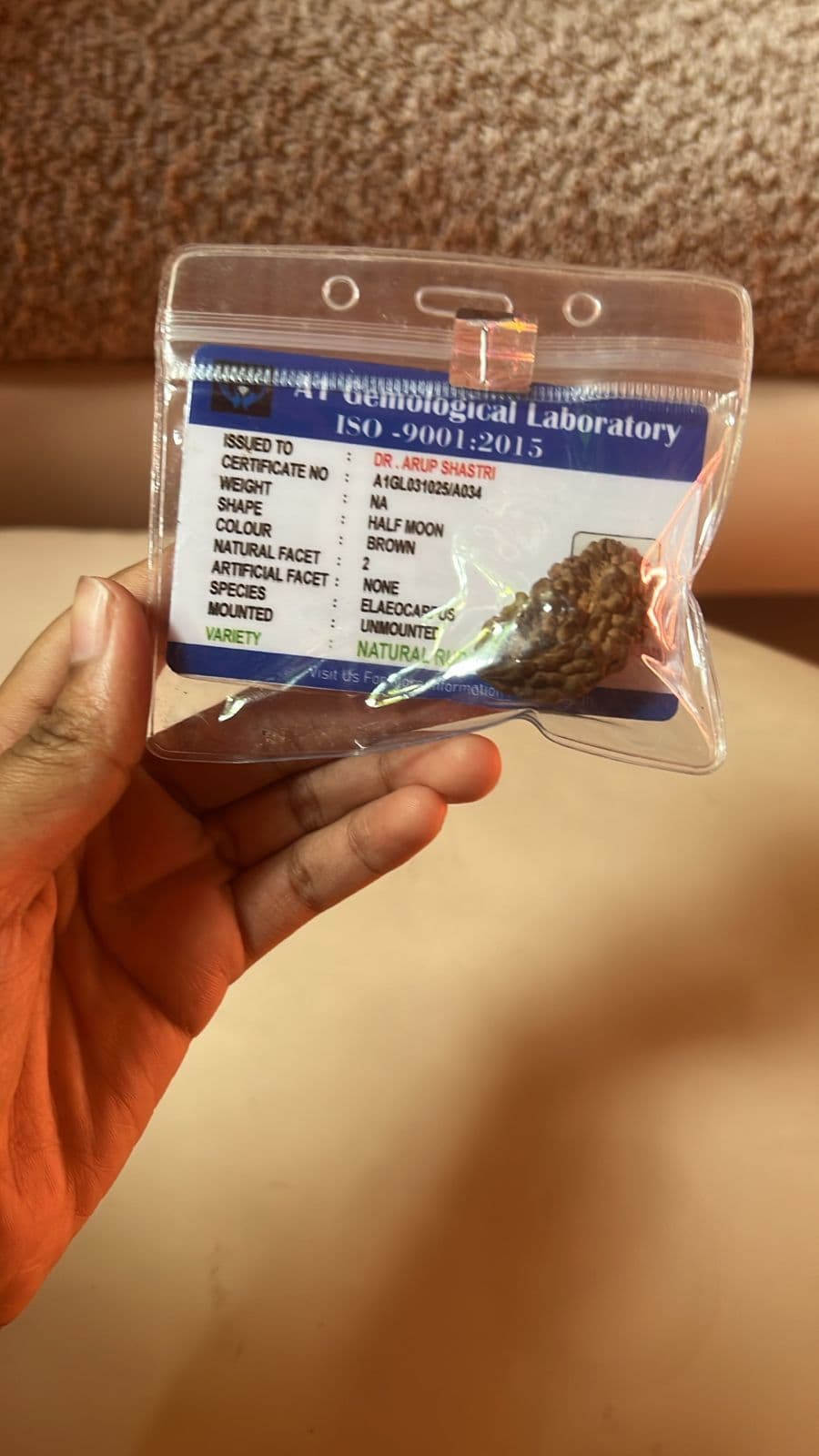 ২ মূখী রুদ্রাক্ষ